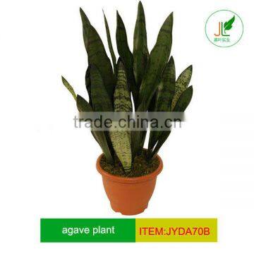 Artificial green leaf agave plants