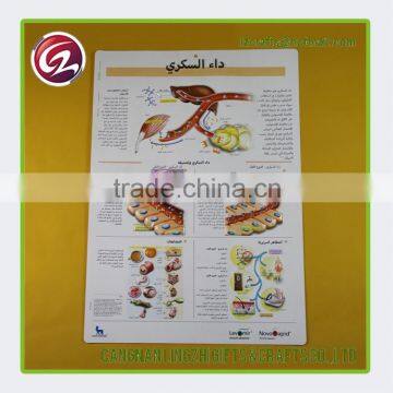 Wholesale products medical wall charts