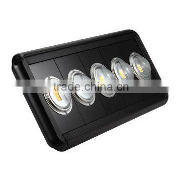 LED Flood Light(SPF-COB-300)