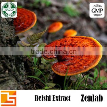 growing reishi mushrooms with ganoderma health benefits for ganoderma cordyceps capsule