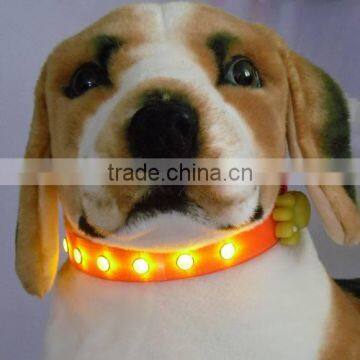 led dog collar