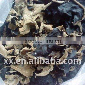 new crop dried agaric high quality market price