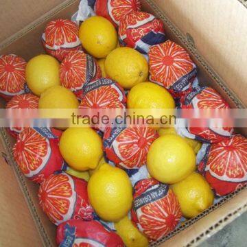 Fresh Varnia Lemon