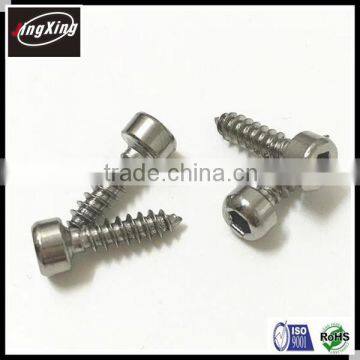 Stainless Steel Hex Socket Cap Head Self Tapping Screw