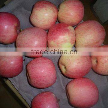 Fresh Apples photo-6