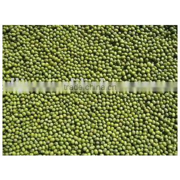 Green Mung Bean