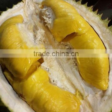 FRESH DURIAN from thailand and vietnam