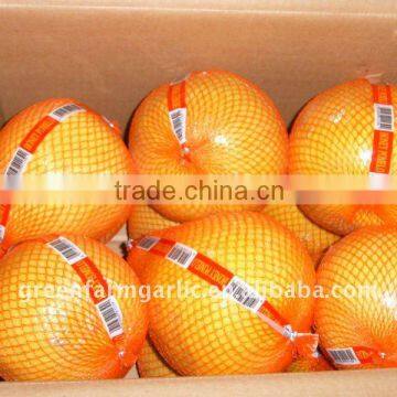 Best Quality Pomelo ,Sweet Pomelo 2011 New Corps