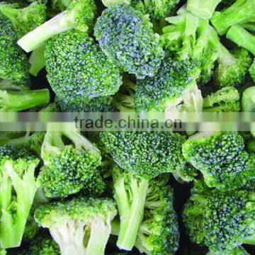 IQF Broccoli photo-3
