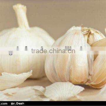 Chinese Fresh garlic Jinxiang fresh white garlic