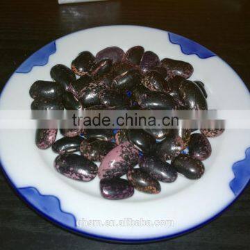 sparkle kidney beans, black kidney beans, beans 2014 crop