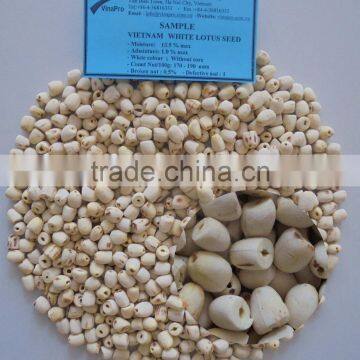 VIETNAM WHITE LOTUS SEEDS