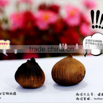 Hot selling Japanese top quality black garlic clove