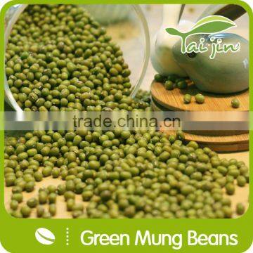 High Quality Green Mung Beans Foul Medames photo-3