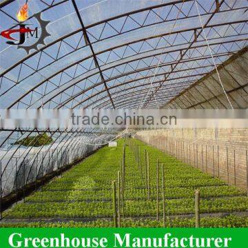 Strong Structure Galvanized Polytunnel Greenhouse photo-6