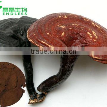 Organic certificated 100% pure natural ganoderma lucidum spore powder