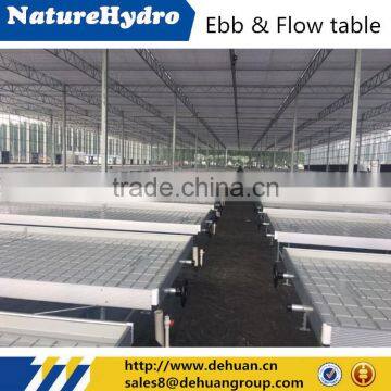 Hydroponic tray ebb and flood table for sell