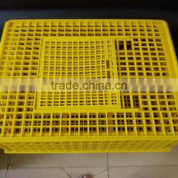 transport cage for adults chicken