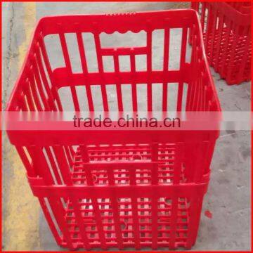 2016 new plastic chicken egg crate