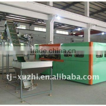 full automatic linear blow moulding machine