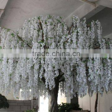 White Wisteria Flower,wedding Stage Decoration Flower Tree Wisteria Flower photo-2
