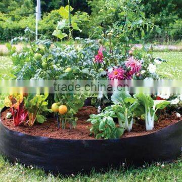Nuohui Grow Bag Strawberry photo-6