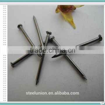 Factory Common Wire Nail/Common Nail for Construction/Common Nail