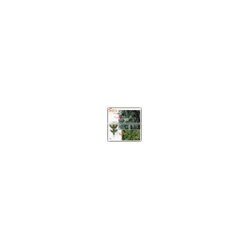 Chinese Facotry Artificial Led Christmas Tree photo-6