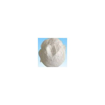 Carboxyl methyl Cellulose (CMC, SCMC)