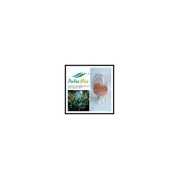 Rhodiola Rosae P. E 5% Rosavins/3% Salidroside