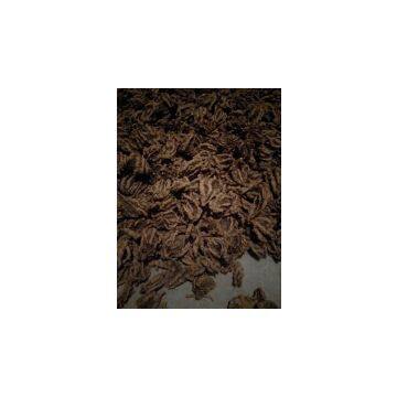 Supply of Medicinal Materials in Western Hubei Mountain Area Treasure Chicken Feet Coptis Zadeh Super Series Rare Traditional Chinese Medicinal Materials photo-3