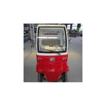 Enclosed 2 seater  electric golf cart