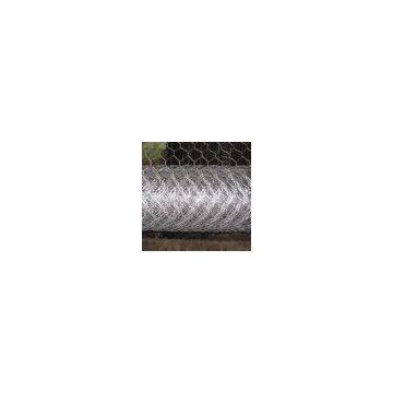 hexagonal wire mesh