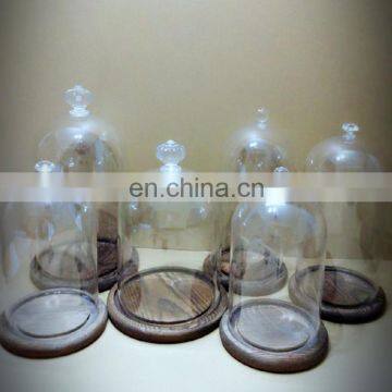 Dongguan Manufaction Acrylic Plastic Eternal Life Flower Flowers Micro Landscape Holiday Place