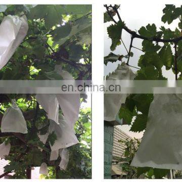 Promotion Price Hot Sale Peru Size Customizable Water Resistant Prevent Birds Fruit Growing Grape Protection Paper Bag photo-6