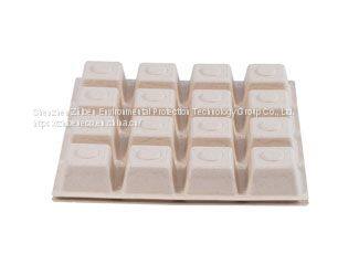 Eco Friendly Disposable & Biodegradable Square/Rectangular Container