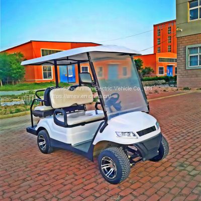 2+2-seater electric golf cart for sale