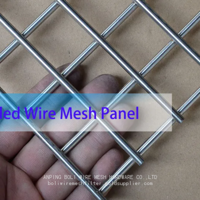 Quality ss304 Stainless steel mesh/Galvanized welded Wire mesh panel and rolls. high quality competitive price BOLI WELDED MESH