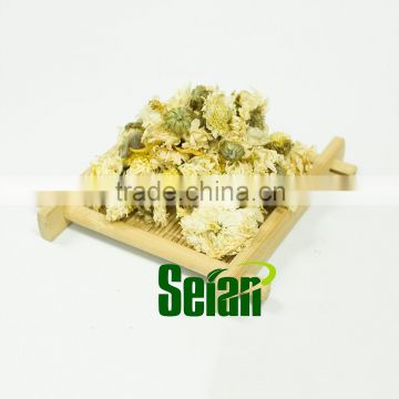 Instant Chrysanthemum Extract Powder for beverage