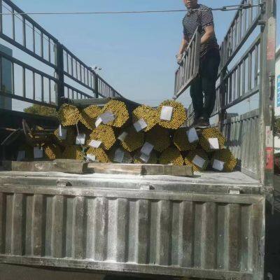 Hot Rolled Semless Steel Tube GOST 8732-78 photo-3