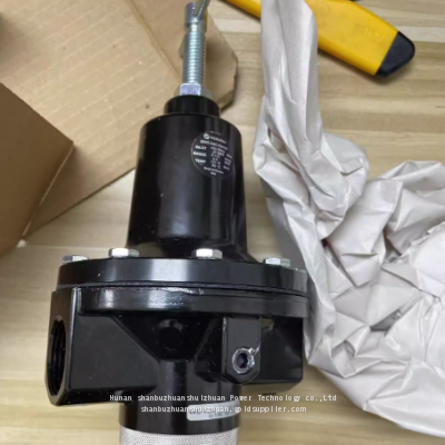 20AG-X8G-PH100, Norgren, Pressure Reducing Valve, G1' Thread photo-2