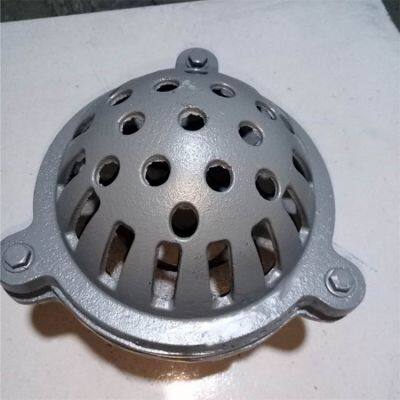 Soupape de pied filetée de qualité industrielle, en fonte pour une durabilité dans les environnements difficiles photo-3