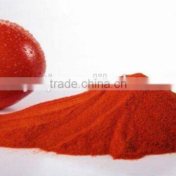 Spray Dried Tomato Powder photo-3