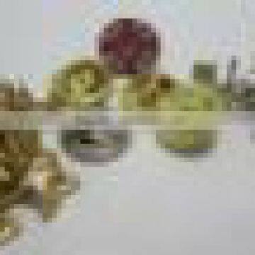 lapel buttons custom