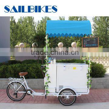 Mini Mobile Ice Cream Cart and Ice Cream Bike for Sale photo-4