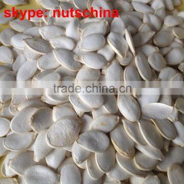 Pumpkin Seeds photo-3