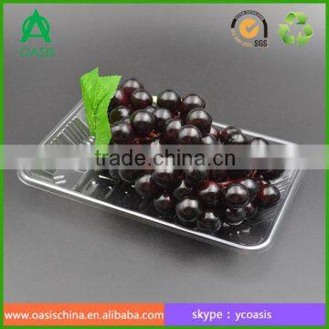 Blister Process Type disposable fruit tray 2013