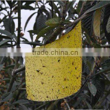 Hot Sale strong adhesive fly trap,yellow board insect killer,fly ribbon ,fly catcher