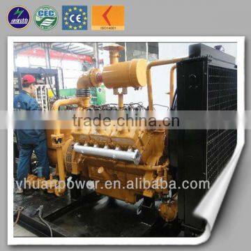 International Standard Standford Alternator Natural Gas Electric Turbines photo-4