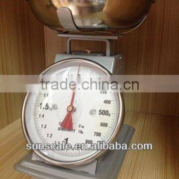 1000g Mini kitchen scales/mini weight scale/mini spring scale